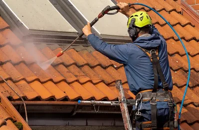 Démoussage et hydrofuge de toiture à Tramont-Lassus